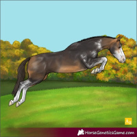 Horse Color:Buckskin Sabino 