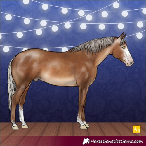 Horse Color:Gray Silver Sable Champagne Sabino 