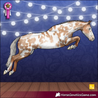 Horse Color:Gray Silver Sable Champagne Pearl Sabino Frame Appaloosa Rabicano 