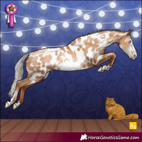 Horse Color:Gray Silver Sable Champagne Pearl Sabino Frame Appaloosa Rabicano 