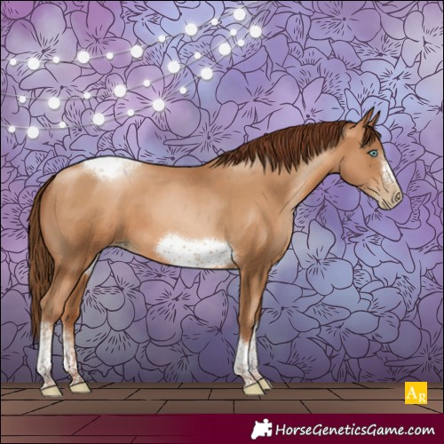 Horse Color:Gray Sable Champagne Pearl Sabino Tobiano Frame