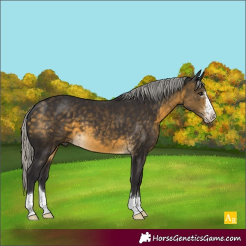 Horse Color:Silver Buckskin 