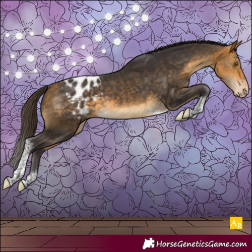 Horse Color:Buckskin Tobiano Blanket 