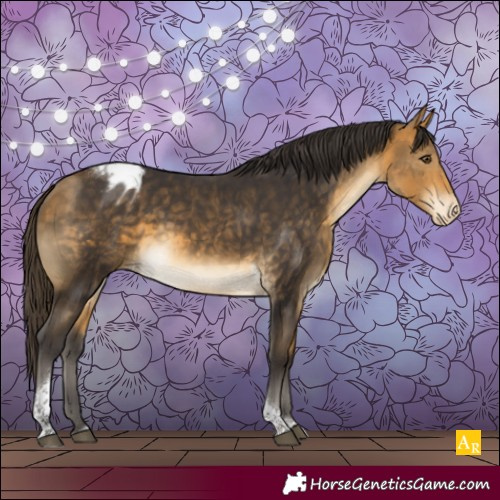 Horse Color:Buckskin Mushroom Tobiano Varnish