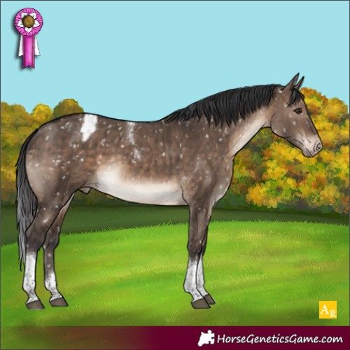 Horse Color:Brown Dun Tobiano Appaloosa Brindle 