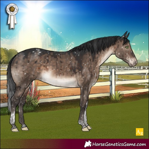 Horse Color:Brown Dun Mushroom Tobiano Appaloosa Brindle 