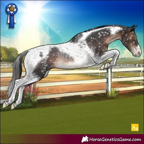 Horse Color:Brown Tobiano Snowcap Rabicano 