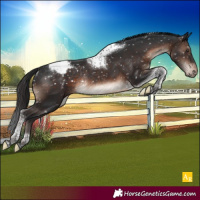 Horse Color:Brown Mushroom Tobiano Appaloosa Rabicano 