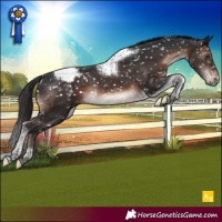 Horse Color:Brown Mushroom Tobiano Snowcap Rabicano 