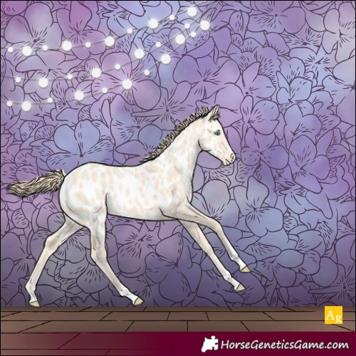 Horse Color:Perlino Appaloosa 