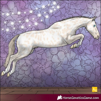 Horse Color:Perlino Appaloosa 