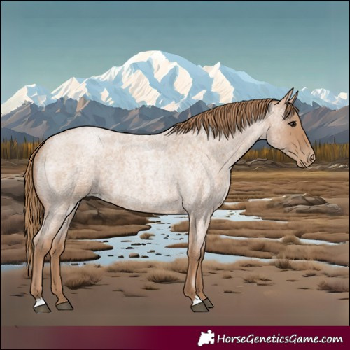 Horse Color:Blue Roan Pearl