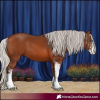 Horse Color:Silver Brown Sabino 