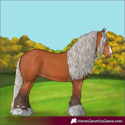 Horse Color:Silver Bay 