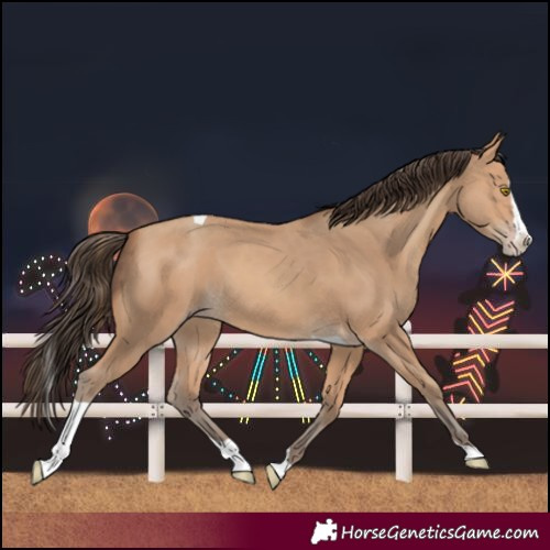 Horse Color:Amber Champagne Splash Tobiano 