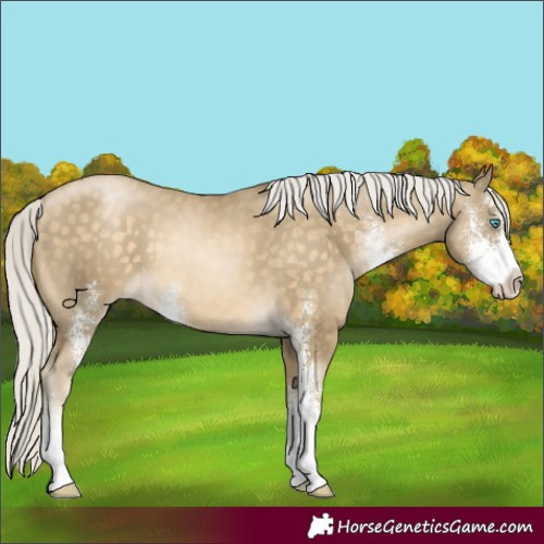 Horse Color:Silver Buckskin Pearl Sabino 