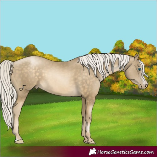 Horse Color:Silver Buckskin Pearl Sabino