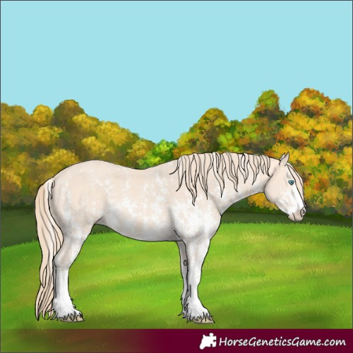 Horse Color:Perlino Sabino  and Perlino Sabino Splash 