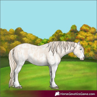 Horse Color:Perlino Sabino  and Perlino Sabino 