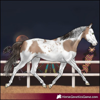 Horse Color:Amber Champagne Splash Tobiano