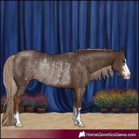 Horse Color:Liver Chestnut Rabicano