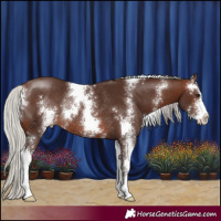 Horse Color:Silver Brown Sabino Rabicano
