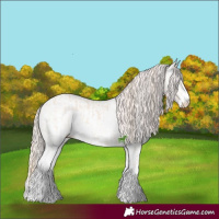 Horse Color:Perlino Sabino  and Perlino Sabino 
