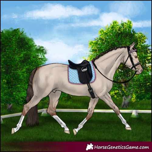 Horse Color:Classic Champagne Dun 