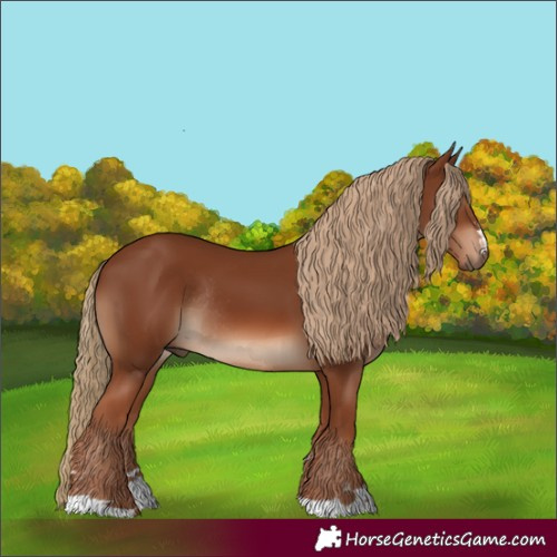Horse Color:Chestnut Rabicano 