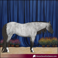 Horse Color:Liver Red Roan Rabicano 