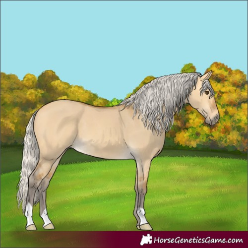 Horse Color:Silver Buckskin Dun