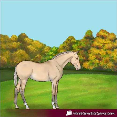 Horse Color:Silver Buckskin Dun 