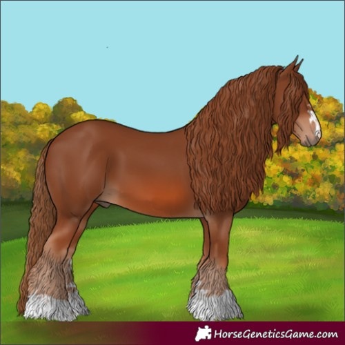 Horse Color:Chestnut 