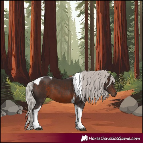 Horse Color:Silver Brown Tobiano 