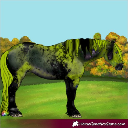 Horse Color:ERROR: UNKNOWN ANOMALY and ERROR: UNKNOWN ANOMALY
