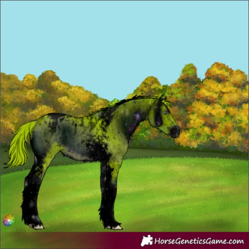 Horse Color:ERROR: UNKNOWN ANOMALY and ERROR: UNKNOWN ANOMALY