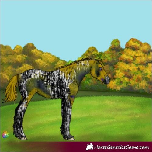 Horse Color:ERROR: UNKNOWN ANOMALY and ERROR: UNKNOWN ANOMALY