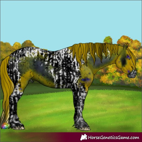 Horse Color:ERROR: UNKNOWN ANOMALY and ERROR: UNKNOWN ANOMALY