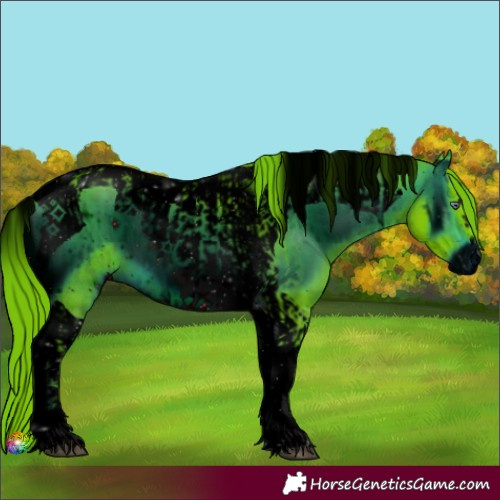 Horse Color:ERROR: UNKNOWN ANOMALY and ERROR: UNKNOWN ANOMALY