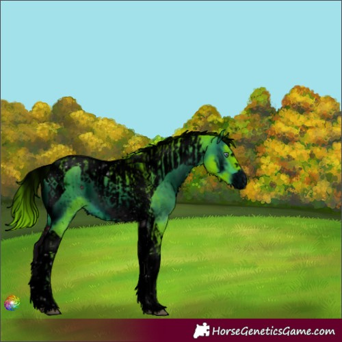 Horse Color:ERROR: UNKNOWN ANOMALY and ERROR: UNKNOWN ANOMALY