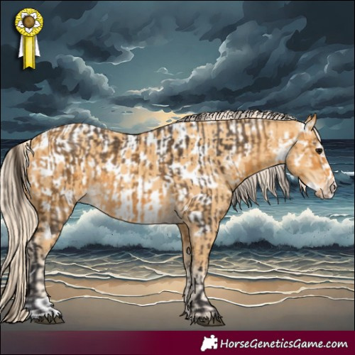 Horse Color:Buckskin  and Gold Cream Champagne Frame Appaloosa 