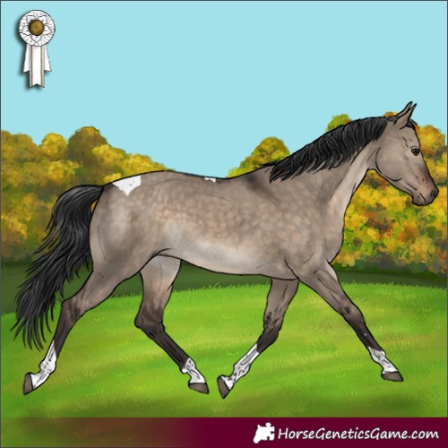 Horse Color:Brown Dun Tobiano Rabicano 