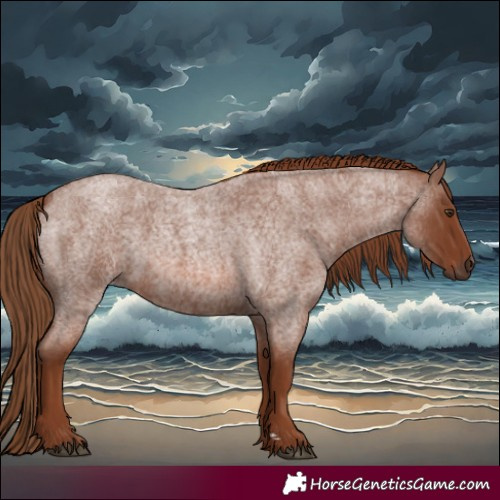 Horse Color:Red Roan Rabicano 