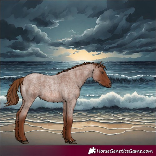 Horse Color:Red Roan Rabicano 