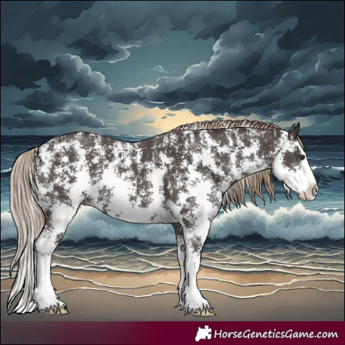 Horse Color:Liver Chestnut Sabino Splash Appaloosa 