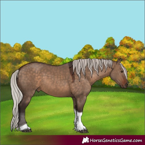 Horse Color:Silver Brown Dun Tobiano 