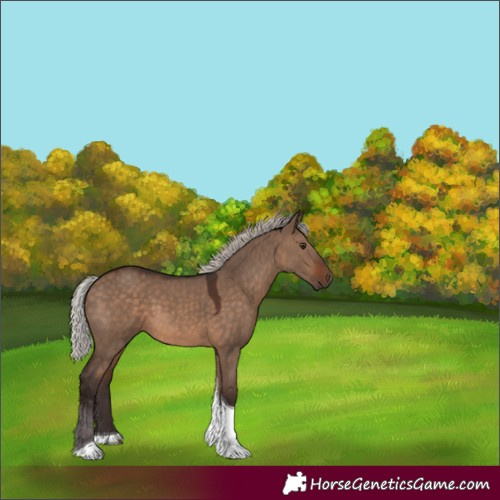 Horse Color:Silver Brown Dun Tobiano 
