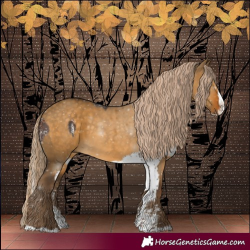 Horse Color:White Spotted Silver Brown  and Chocolate Palomino Dun Sabino Splash Rabicano 