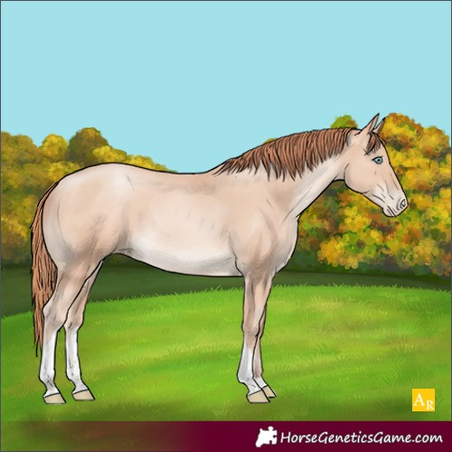 Horse Color:Sable Champagne Pearl Tobiano Rabicano