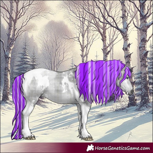 Horse Color:Painted Plaid White Spotted Silver Brown Chinchilla Dun Tobiano